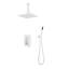 Système de pomme de douche 16 po-123949139