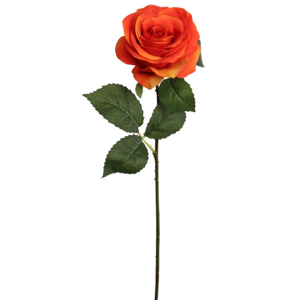 Primrue Roses Stem | Wayfair