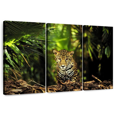 Brampt Belize Jungle Jaguar
