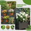Boîte à fleurs en métal avec treillis et roues Treytin -1485040970-1508463485-1501536940