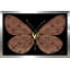 "Louis Vuitton Butterfly (Horizontal)" par Jodi - impression-1115582059-1115582053-1177614686