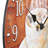 Wedgeworth 12" Coffee Quartz Wall Clock