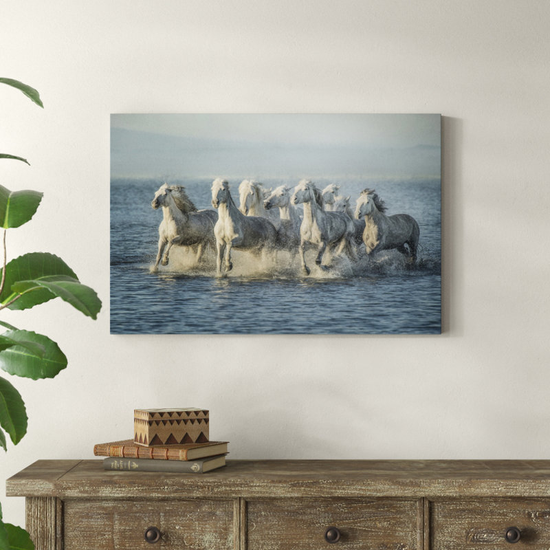 Water Horses VI by PHBurchett - Print on Canvas, Wrapped Canvas, 61cm H x 91cm W