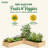 Wood Raised Garden Bed-1781666357