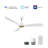 Kiama 52" Smart Ceiling Fan with Remote,Works with Google Assistant and Amazon Alexa, Siri Shortcut.