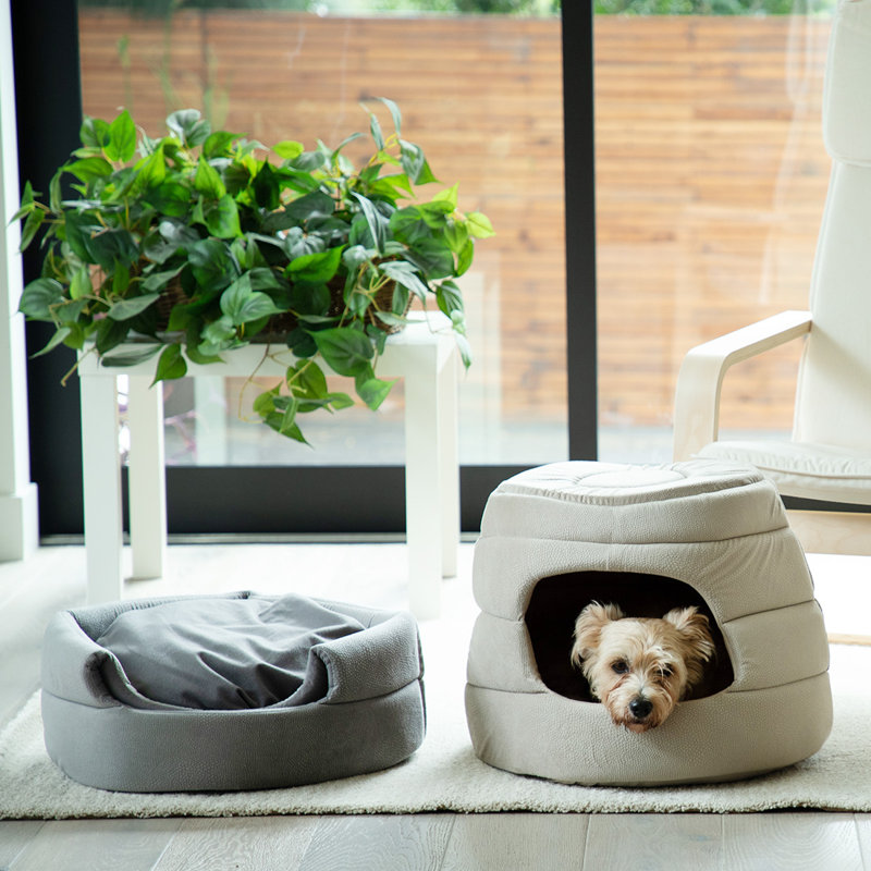 Lit gigogne convertible pour chat et chien Ilan Best Friends par Sheri, Grand-16 po x L 21 po, Blé