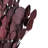 0.25'' Plant