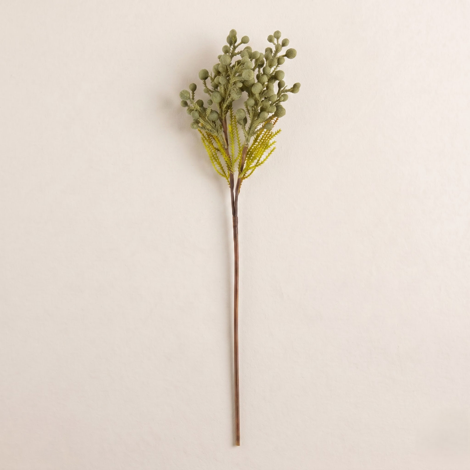 Rimma Waxberry Branch Stems
