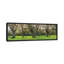 « tree », reproduction de photo sur toile-32786594-72139011