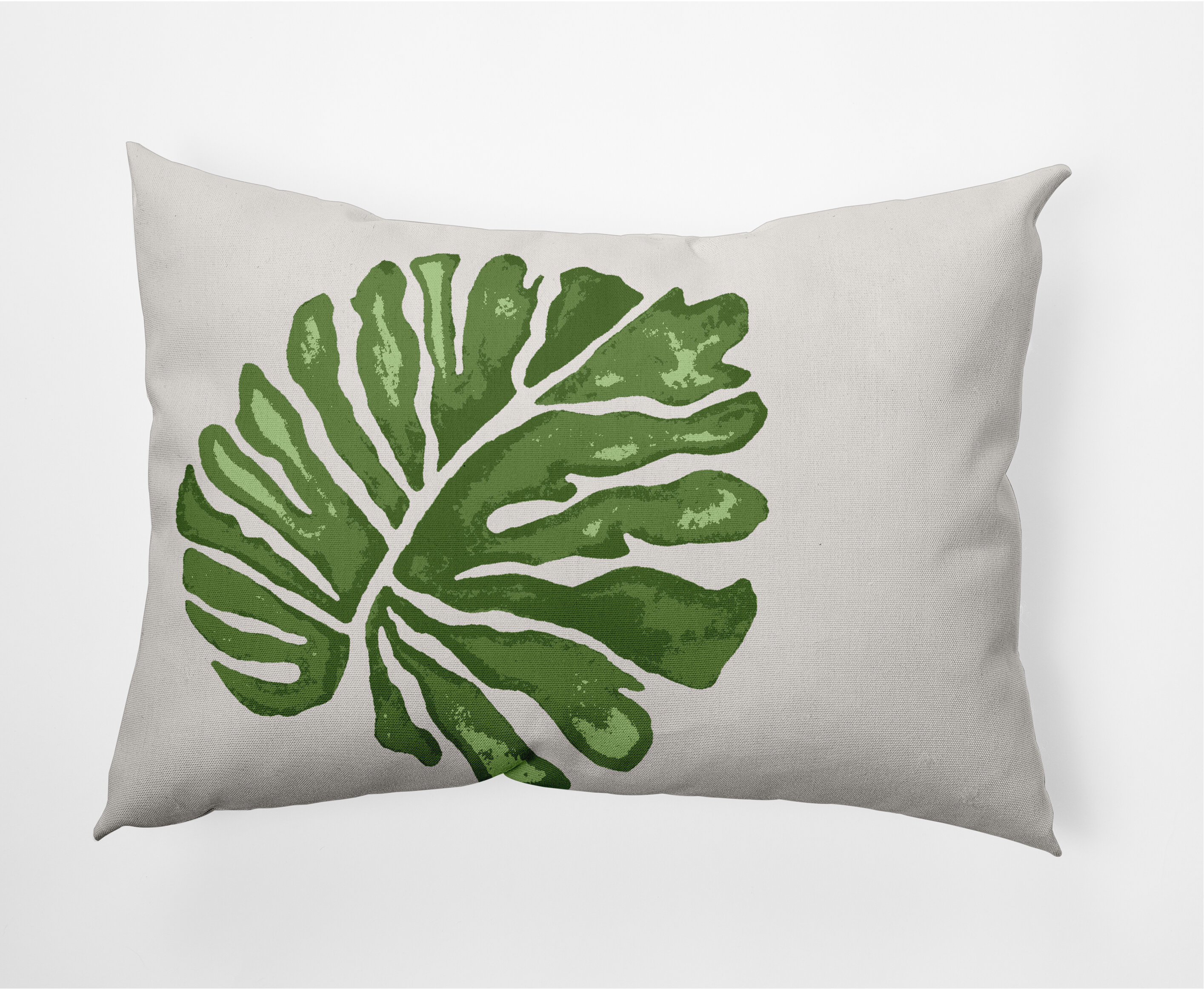 https://assets.wfcdn.com/im/30672178/compr-r85/1760/176098540/floral-polyester-throw-pillow.jpg