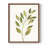 Single Twig I Framed Print - Solid Wood-1900996125-1900996116
