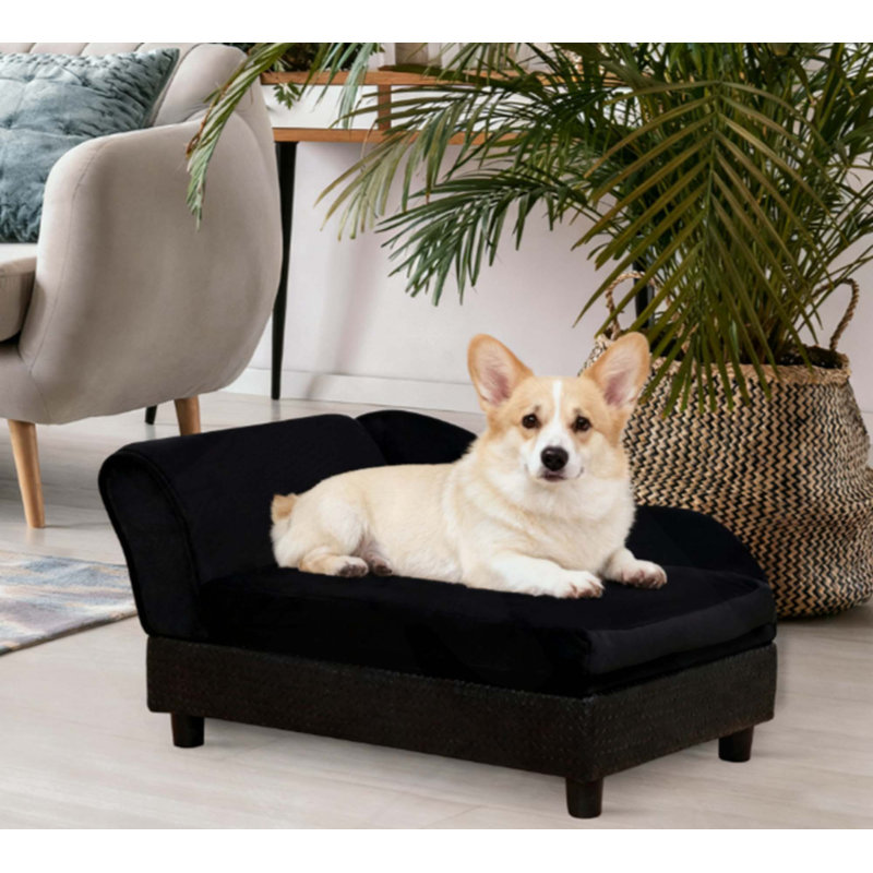 Canapé pour chien avec rangement pour animaux de compagnie, Noir