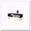 Table basse noire et Macadamia