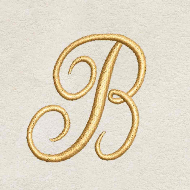 Winston Porter Zakaryan Fingertip Towel Letter B