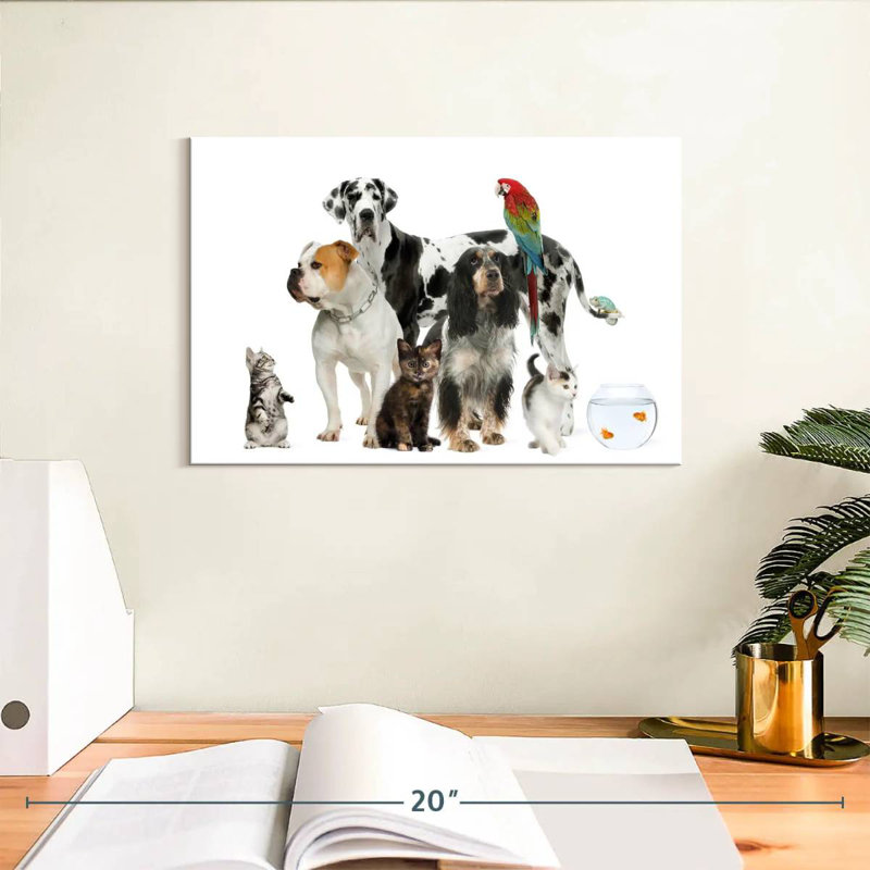 Groupe d'animaux de compagnie, H 8 po x l 12 po