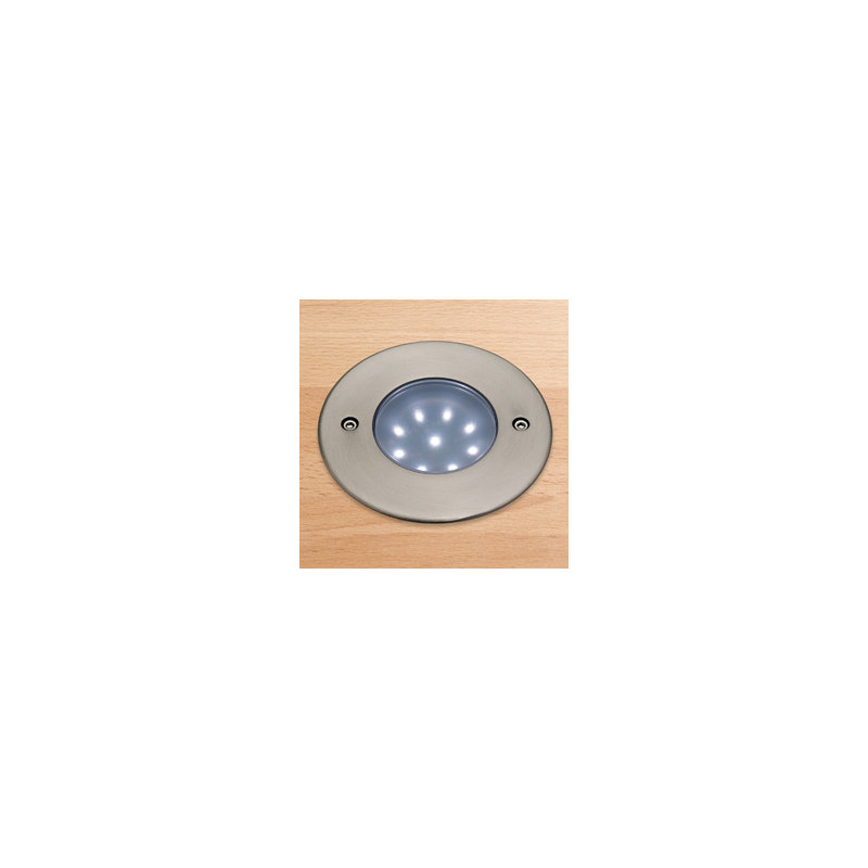 LED WALKOVER Stainless Steel Integrated LED Metal Deck Light, White