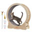 Roue d'exercice pour chat, grande roue de tapis roulant pour chats d'intérieur, roue de course pour chat-108795772