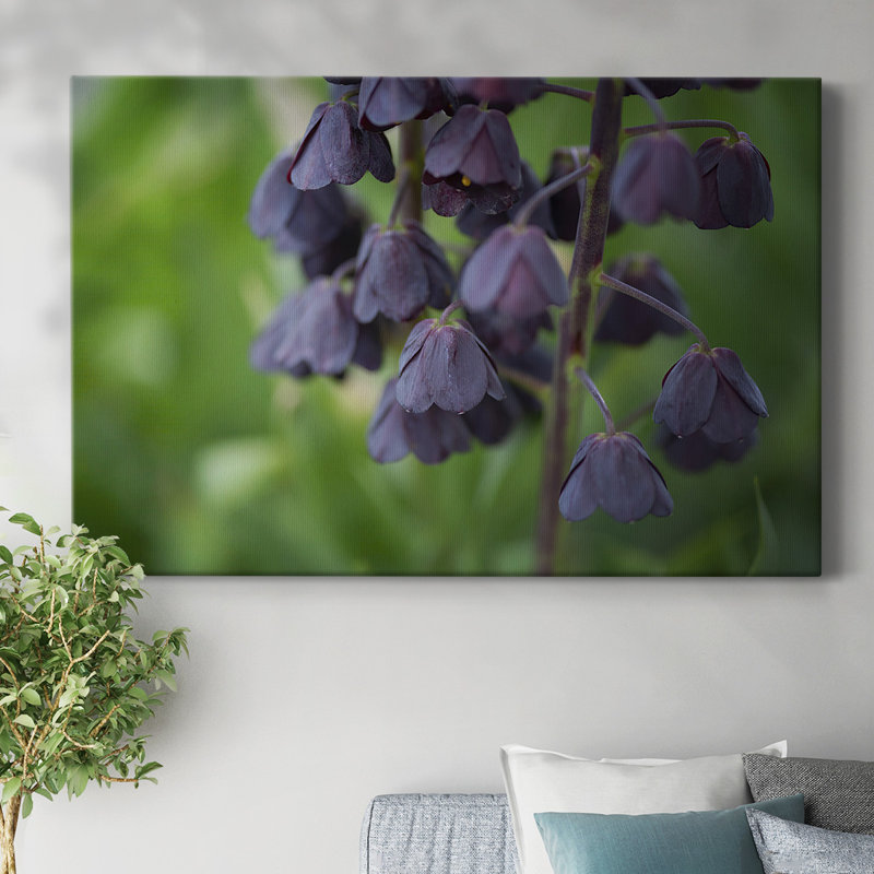 Aubergine-Gallery Wrapped Canvas, 24" H x 36" W