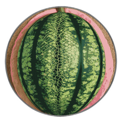 Washable Crenshaw Melon Fruits Area Rug