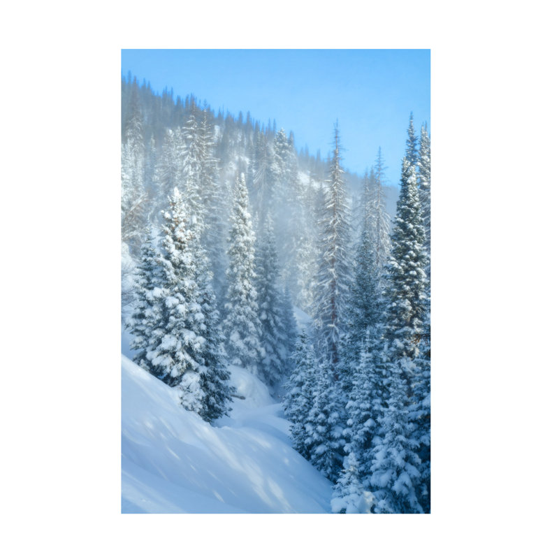 Art mural sur toile tendue - Rick Berk «Snowy Spruce», art mural pour salon, chambre à coucher ou bureau - 16 x 24