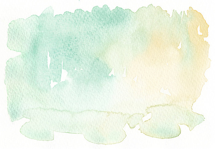 Arionne Matte Peel & Stick Wall Mural, 416 x 254cm