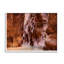 Conception d'art sur toile Stupell Industries Zion Park par Lena Owens-91307814-91307817