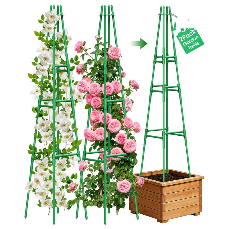165cm H x 30cm W Metal Trellis