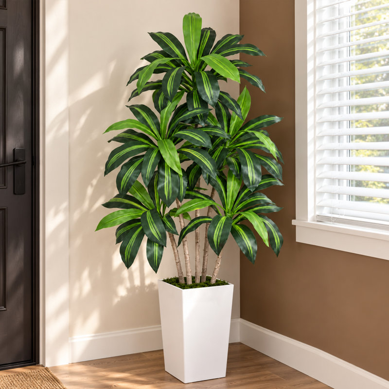 Arbre artificiel Dracaena de 1,5 m, plante Dracaena fragrans à plusieurs têtes avec pot blanc, feuilles réalistes aux tons jaunes, plante d'intérieur facile d'entretien pour la décoration de la maison et du bureau extérieur couvert