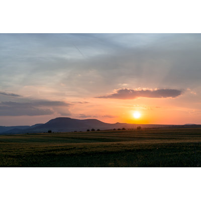 Green Field In Sunset by YavorKalev - Wrapped Canvas Print