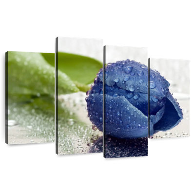 Tulipe bleu foncé Harnek