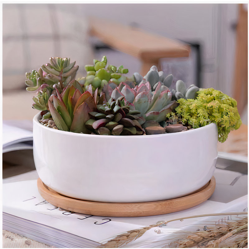 Sarah-Jane Pot Planter