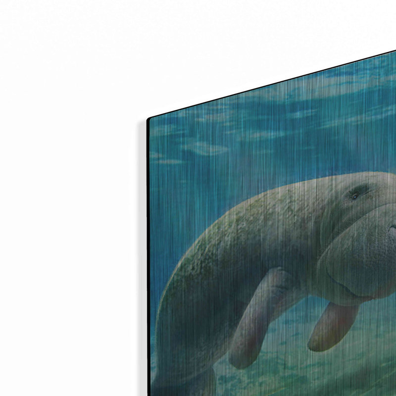 «Five Of Earth-Manatee» par Dan Craig, art mural en métal, H 16 po x l 12 po