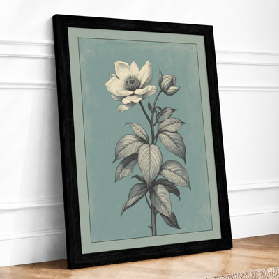 Single Bloom Study Botanical - Print