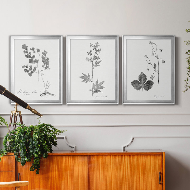 «Botanical Imprint I», ensemble de 3 peintures sur toile encadrées, H 22,5 po x l 91,5 po x P 1,5 po, Argent