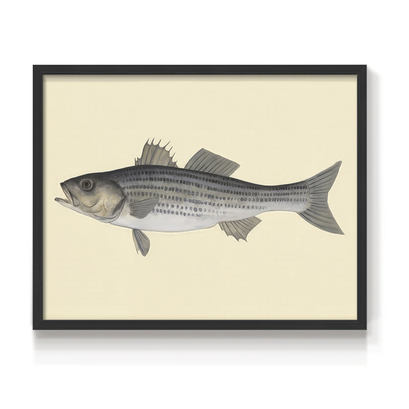 Espèces d'eau salée I - reproduction encadrée - réaménageable, H 16 po x l 20 po, Noir, noir, noir, noir