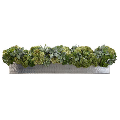 10H11W40"L SUCC/SEDUM IN PLTR