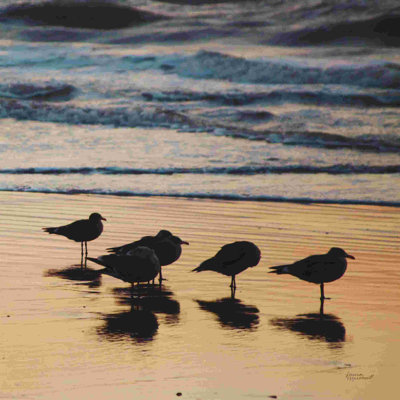 " Kalaloch Birds II "