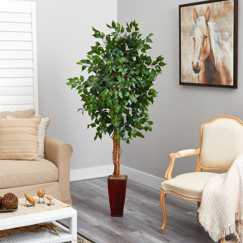 Aahil Faux Ficus Tree in Wood Decorative Vase, 72" H x 34" W x 34" D