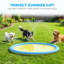 Dog Pool-129163842