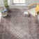 Dicken Oriental Indoor Rug