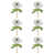 Blanc, vert sélectionné