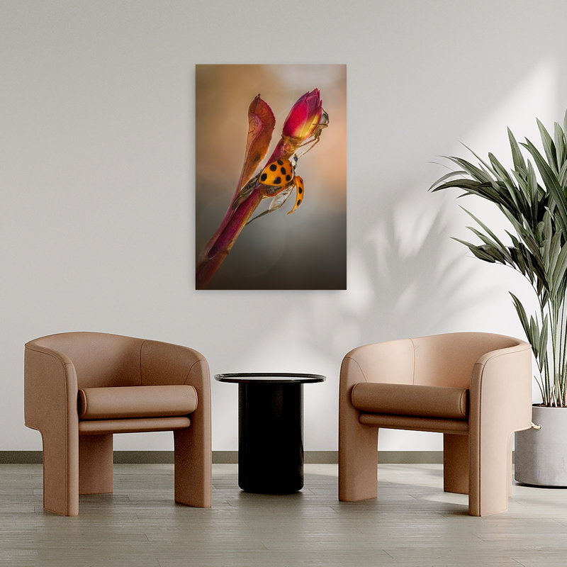 Ladybug Wings On Bud Delicate Ladybug Spider Flower Nature Wall Art Print 1 Piece Wrapped Canvas Wall Art