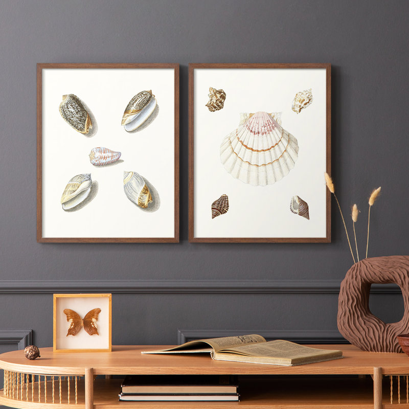 Pastel Knorr Shells III - reproduction encadrée de qualité supérieure - prête à être accrochée - aucun clou requis - aucun clou requis