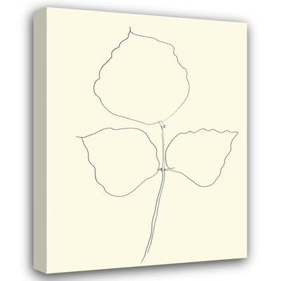 Fueille d'Arbre-Corail, MER-KEL468