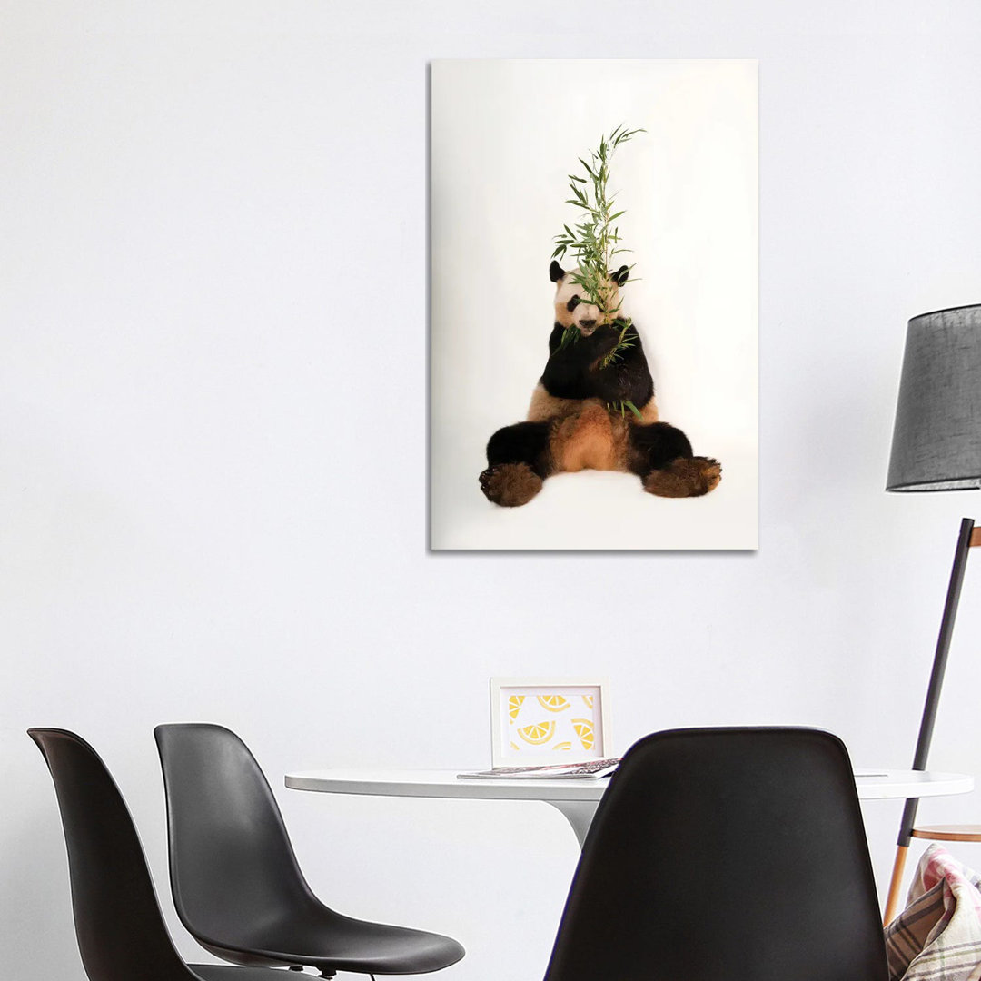 A Giant Panda At Zoo Atlanta I von Joel Sartore - Gallery-Wrapped Canvas Giclée on Canvas