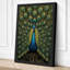 Peacock Resplendent Botanical - Wrapped Canvas-272701531-272701530