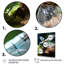 Libellule blanche, vol d'insectes - animaux, impressions sur toile-773307387-773307386