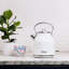 Bouilloire en acier inoxydable 1,7 L HADEN Heritage-49998383