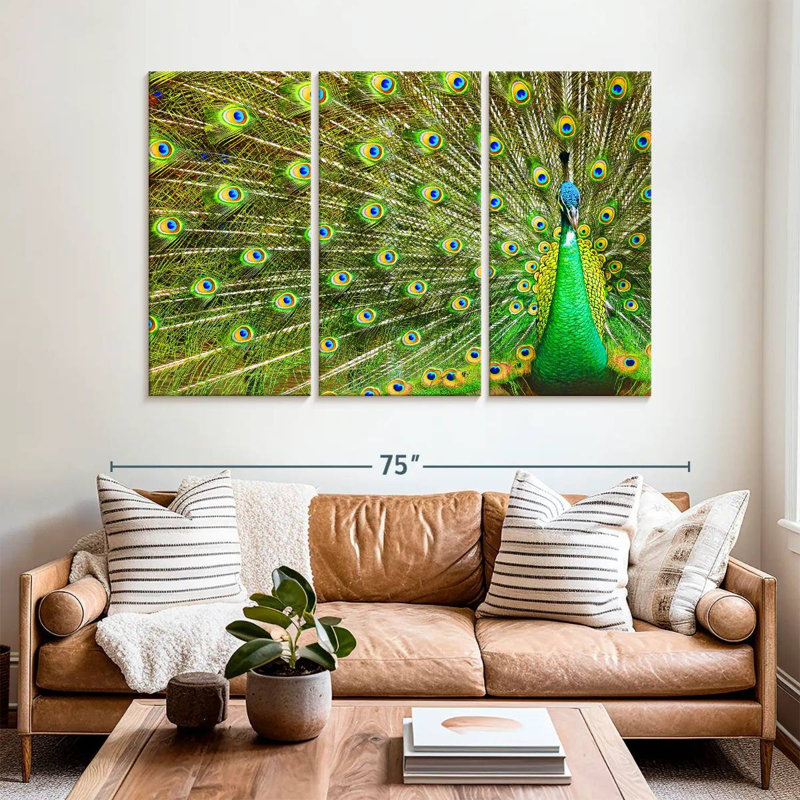 Brampt Showing Off Peacock Feathers, 42" H x 65" W