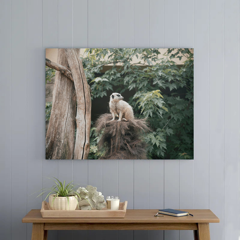 Sitting Meerkat at the Zoo, 12" H x 18" W